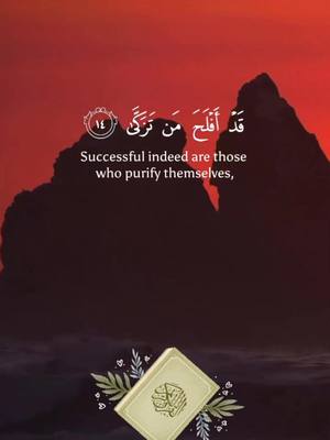 A post by @mumintv2021 on TikTok caption: Dont lose yourself in this worldly life, aim for the hereafter. #Allah #Beautiful #reminder #fyp #Quran #Success #hereafter 