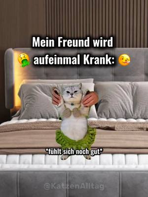 A post by @katzenalltag on TikTok caption: Wartet das Ende👀 #katzenvideos🐈🐈 #katzen #lustigekatzenvideos #katzenliebe❤️ #katzenbeziehung #funnycats #witzigekatzen #katzenmemes #katzenalltag #lustigekatzen #katzenauftiktok #katzenvideo #katzenbaby #katzenliebe #katzenvideos #katzenfan #kater