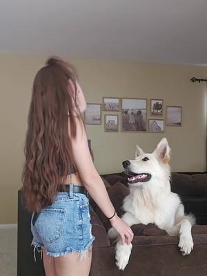 A post by @emily.batista on TikTok caption: best friend i could ask for🥺💓  #foryou #dog #dogsoftiktok #dogtok #dogappreciationpost #bestfriend #bestboy 