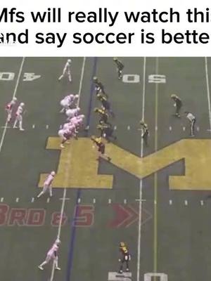 A post by @krking48817 on TikTok caption: #goblue〽️ 