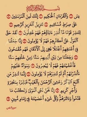 A post by @mohdfirus7861 on TikTok caption: #القرآن #الكريم #سورة_يس 