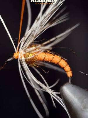 A post by @mainely.flies on TikTok caption: 500-Year-Old Lure Still Catches Fish! This is a modern variation of the Partridge and Orange, a popular and successful fly pattern that has been around for over 500 years! This is one of my favorite variations that I often fish in the fall as an October caddis. Tying it behind a streamer and swinging it through the current is a great way to pick up a few extra fish with little to no effort, as the current drags it along the swing. If you haven't tried this, you should this fall. It's a great, relaxing way to fish—simply cast, wait, and enjoy the scenery.  Want to give it a try? You can find it on my website here: https://www.mainely-outdoors.com/product-page/partridge-and-orange  #old #oldschool #years #yearsold #make #makeup #flytying #catch #howto #asmr #thread #flyfishing #fishing #flytying #howtismade #DIY #diyproject #arts #skill #relax #relaxing #asmr #asmrsounds #asmrvideo #Outdoors #trout #bass #bassfishing #water #river #strem #nature #hook