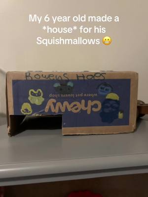 A post by @amandaseghetti on TikTok caption: We are more focused on phonetic spelling than correct spelling, obviously lol. But I love how he repurposed the @Chewy box creatively! 🤣🤣