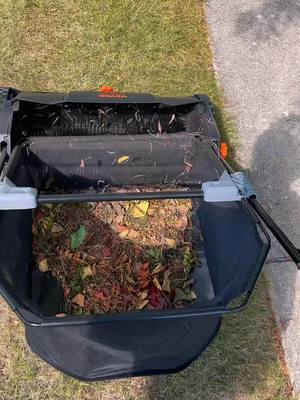 A post by @baodanhao1188 on TikTok caption: #lawnsweeper #grassrake #yardwork #lawncare #lawn #lawntok #lawncarelife #yardmaintenance #leaves #leafs #grasstok #leaves #raking #rakingleaves #rakinggrass #lawncaretips #rake #rakeitup #raking #rakingleaves #vevor 