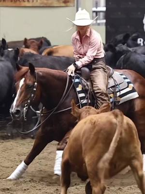 A post by @_peytonmoretti on TikTok caption: Lonesome with that 224😮‍💨  📸: @lamellphoto  #fyp #foryoupage #thisisathird #cutting #cuttinghorses #mwph #ncha #oregon #lamellphoto #greenscreenvideo 