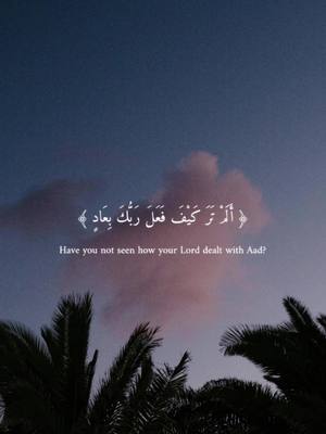 A post by @most..merciful on TikTok caption: وَالشَّفْعِ وَالْوَتْرِ 💗🥀  #lslam #palestine #quran  سوره الفجر 1 القاري مشاري راشد 