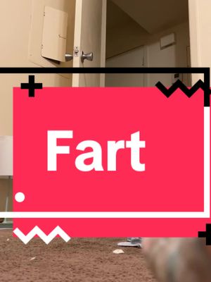 A post by @texashoney23 on TikTok caption: #farts #fyp #viral #mymamafarted #funnyvideos #fartsarefunny 