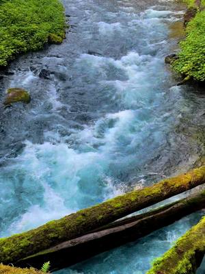 A post by @nextlevel_production on TikTok caption: Oregon has some of the best hidden gems!! #Oregon #Nature #Waterfall #Explore 