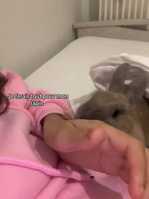 A post by @operation.casse.noisette on TikTok caption: Je suis rien sans mon lapin #operationcassenoisette #bounty #rabbit #fyp #viral #bunny 