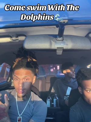 A post by @its_bxmpy on TikTok caption: Class in Session Swimming with the Dolphins 101 #fyp #foryou #viralvideo #trending 