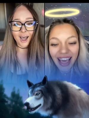 A post by @julia.zvereva on TikTok caption: 😍😍😍спасибо всем ,что меня поддерживаете #волк #wolf #livegift #galaxy #домсанты #подарки #тренд 