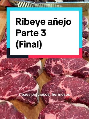 A post by @carneshildebrandt on TikTok caption: Respuesta a @kolivence+AGK Parte 3 del ribeye añejo!😍 #dryaged #añejo #carne #meat #beef #ribeye #bbq #grill #carneasada 