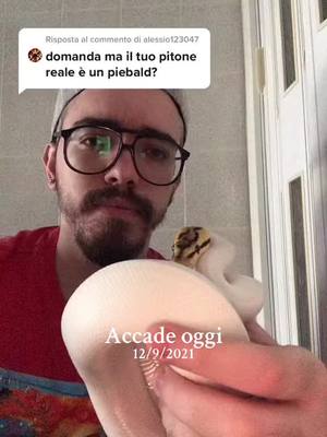 A post by @davisd98 on TikTok caption: #accadeoggi 