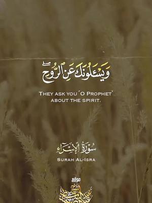 A post by @abdulbasit_abdussamad on TikTok caption: #القران_الكريم #بصوت #الشيخ #عبدالباسط #محمد #عبدالصمد #راحة_نفسية #سورة_الإسراء 