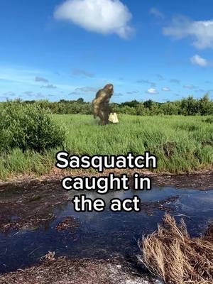 A post by @undertimeslopper on TikTok caption: #sasquatch #undertimeslopper 