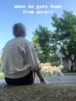 A post by @lil_wunder2.0 on TikTok caption: costa gets so excited🫶🏼 #goldenretriever #itchyleg 