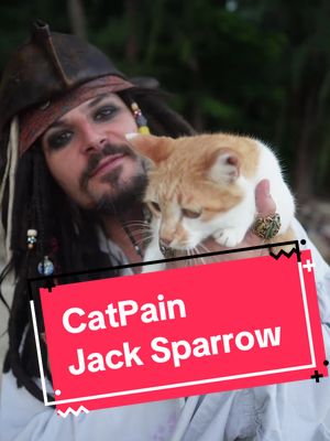 A post by @deagal_remyr on TikTok caption: Immer diese süßen Katzen, die man einfach kuscheln muss. Sie hat mich über den gesamten Strand verfolgt. 😍 Magst du Katzen? #jacksparrow #captainjacksparrow #katze #katzen #cosplay #cat #fluchderkaribik #pirat #strand #germancosplay #austriancosplay #jacksparrowcosplay 