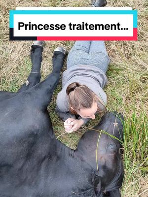 A post by @laet.brb on TikTok caption: Ma princesse ❤️ non elle n'est pas morte 🤣 #jument #marechalferrant #podologueequin #cheval #chevalpiedsnus #merenshorse #chevalataxique #paragecheval #princesstraitment #princessetraitement 