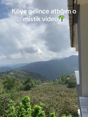 A post by @petito_55 on TikTok caption: #köy 