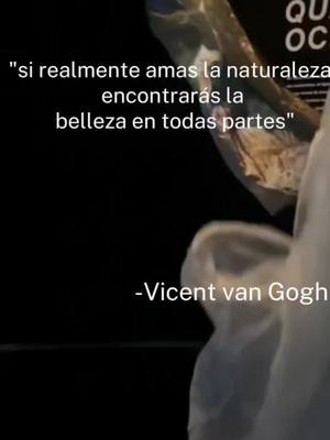 A post by @ana._vvs on TikTok caption: #viral #frasesdevicentevangogh #naturalbeauty 