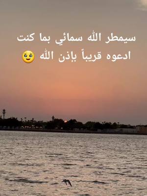 A post by @alhnof.75 on TikTok caption: يااااارب 