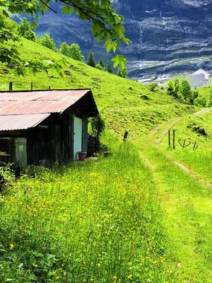 A post by @____swissbeauty____ on TikTok caption: #switzerlandnature 🇨🇭#swissalps #swissmountains #switzerlandtravel #amazingswitzerland #naturelovers #beautifuldestinations #sisiswiss 