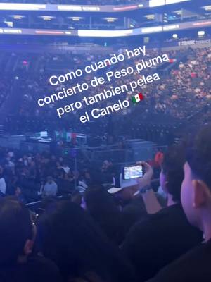 A post by @melabbydiego on TikTok caption: #pesopluma #caneloalvarez🇲🇽 #chistisos 