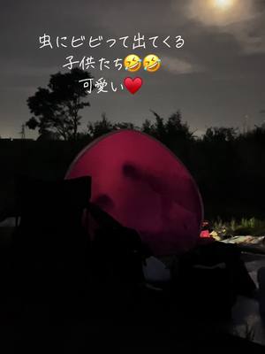 A post by @kanchan10140 on TikTok caption: #花火大会 テント内の#虫 にビビる子供たち！可愛いな〜