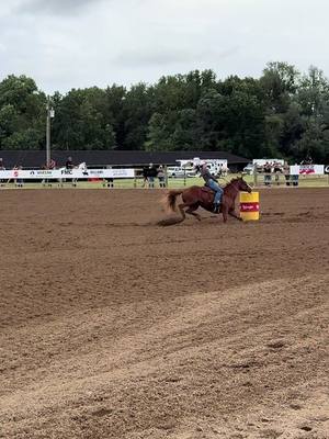 A post by @darespain on TikTok caption: Getting our second barrel back smooth 🦄 #rodeohorse #polebendinghorse #nbha #barrelrace #barrelracing #aqha 