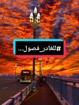 A post by @hello.man.75 on TikTok caption: #خواطري  #بقلمي✍️🏻  #بصوتي🎙  #fyp  💞جميعا من أجل أسر متماسكة💞 #arab #poetry #explore 