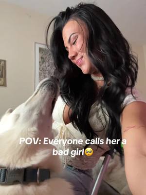 A post by @jerseypatterson on TikTok caption: #dogmom #fyp 