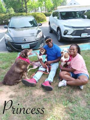 A post by @shenandoahshepherdrescue on TikTok caption: Congratulations to the dogs adopted in the second half of July! 