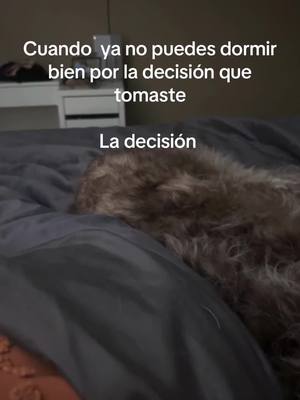 A post by @goldencooper4 on TikTok caption: La mitadde la cama es de el 😒😒😒 #paratupágina #dogsofttiktok #dogsofttiktokcutedog #aussedoddle 