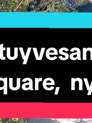 A post by @massielnh on TikTok caption: #nyc #parks #stuyvesantsquare #naturelover 