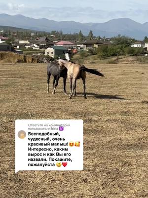 A post by @makvinstud on TikTok caption: Ответ пользователю @Irina ♉️ измир и император 