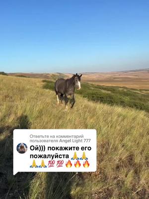 A post by @makvinstud on TikTok caption: Ответ пользователю @Angel Light 777  Измир