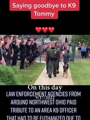 A post by @kristy.s01 on TikTok caption: #onthisday #fyp #k9 #k9tommy #lawenforcement #community #rip 