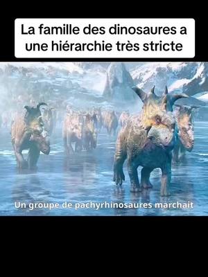 A post by @wangrnybmfp on TikTok caption: La famille des dinosaures a une hiérarchie très stricte.#movie #film #foryou 