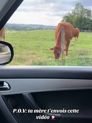 A post by @victoria_btn on TikTok caption: je dois le prendre comment ? 😂