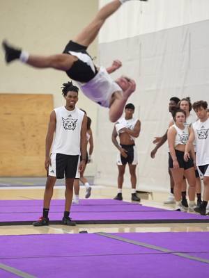 A post by @jordanharrington__ on TikTok caption: tumble WINsday’s are my favorite #fyp #cheer #weberstate #tumbling  VC : @Nick Prak 