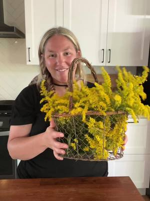 A post by @hillsidehomestead on TikTok caption: Working on filling up my homestead apothecary. This is an excellent beginner tincture because Goldenrod is plentiful and easy to find! Anti inflammatory, decongestant, diuretic.  Also, if you’re obsessed with my hat (like I am) checkout @Farmer’s Defense and be sure to use the code HILLSIDEHOMESTEADER at checkout for 10% off your order.  #homestead #natureismedicine #hillsidehomesteader #apothecary #goldenrod #nativeplants #medicinalplants #tincture #farmersdefense 