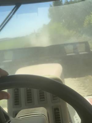 A post by @outdootmans99 on TikTok caption: #fyp#workinglife#aglifethebestlife#nstractor#ranchlife#farmerlife#countryboy#case435stiger#claas960jaguar#cornsilage#dirtroads 