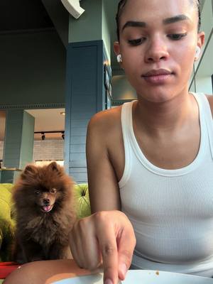 A post by @yazdemand on TikTok caption: 🐾