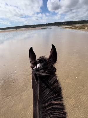 A post by @chloechabanne on TikTok caption: #galop#plage#horses#incroyable @swann @camara lou 👌