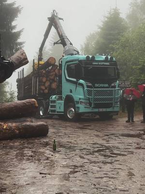 A post by @baptistedumand6 on TikTok caption: F O R E S T 🌲✨ #mountain #moutainview #foryou #foryoupage #pourtoii #fyp #grumier #harvesting #logging #truck #scania 