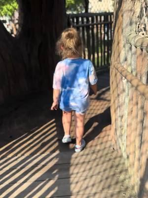 A post by @meetthemaxwells on TikTok caption: Good, simple times ❤️#park #toddlersoftiktok #fouryearold #play #oursweetgirl #evelynkay 