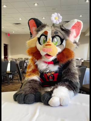 A post by @cindycatcalico on TikTok caption: Silly lil video of me having a ton if fun with @AKARU 🔪✧ at TFS <3 #furry #fursuit #fursuiting #furryfandom #fursuiting #furryconvention #fursuiter #convention #cute #CapCut 