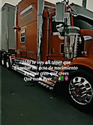 A post by @anthonytruck on TikTok caption: #truckla57 #trailerosmexicanos🇲🇽💯😎 #elchisteescaergodo✌️🇲🇽 #la57 #trokerosdela57 #cachimberosdecorazon #mexico🇲🇽 