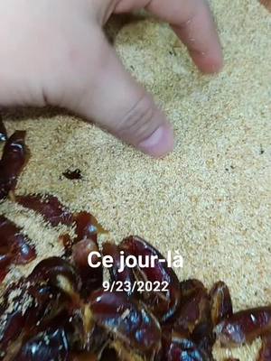 A post by @razane300 on TikTok caption: #cejour-là #explore #طبخ #fyp #viraltiktok 