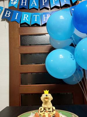 A post by @lhouencarnacion on TikTok caption: Hapoy 1st Birthday🎂🐾every bark bring u joy and every wag bring u happiness love you my Jyunito♥️🥰😍😘#goldenretriever #1yearold #fyp 